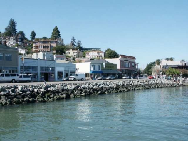 SF-12729 gallery 9