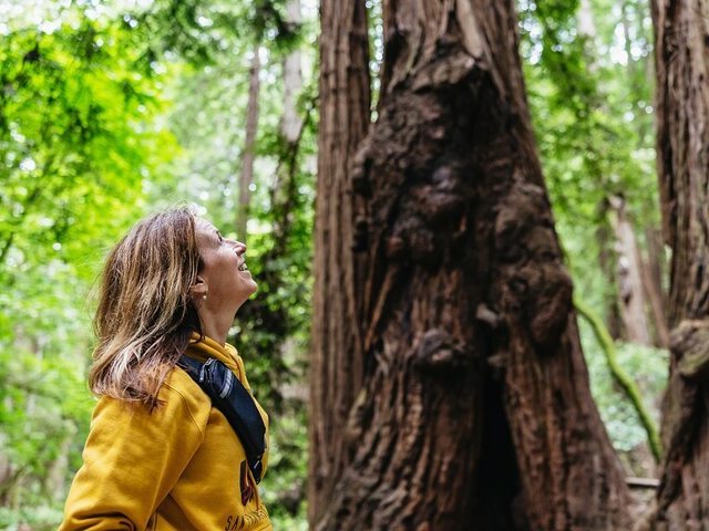 ทัวร์หนึ่งวันใน Muir Woods และ Sausalito