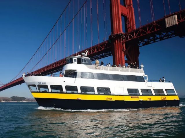 SF-12733 gallery 2
