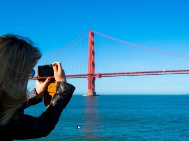SF-12734 gallery 2