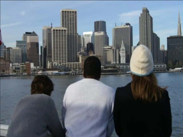 SF-12734 gallery 4