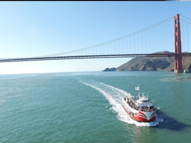 Golden Gate Bay 1-Hour Cruise