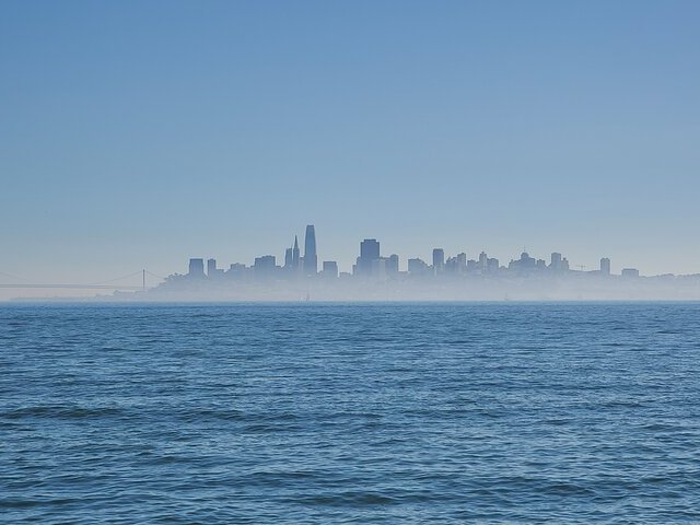 SF-12736 gallery 19