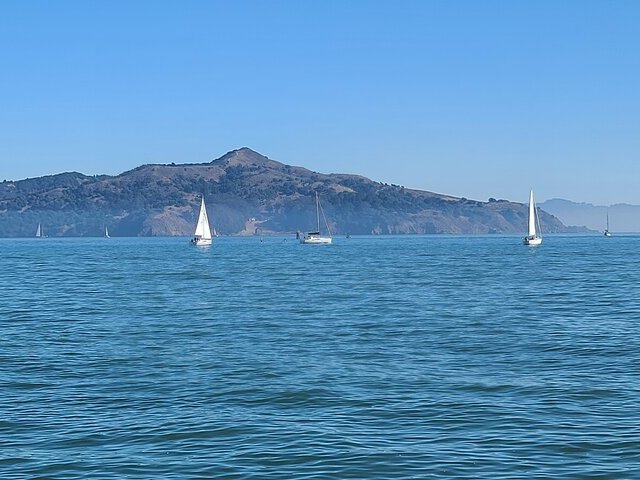 SF-12736 gallery 20