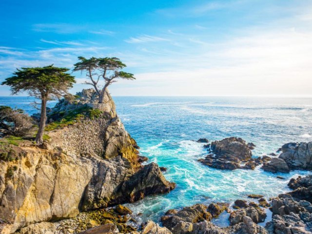 List Enjoyment] Exclusive Small Group under 12 Persons | Monterey Peninsula + Carmel 1-Day Tour (English Group)