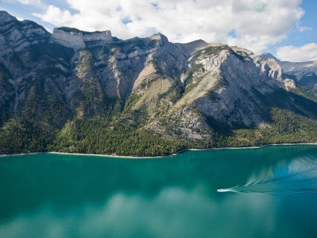 Banff Night Tour: Wildlife & Hidden Gem Viewing Half-Day Tour