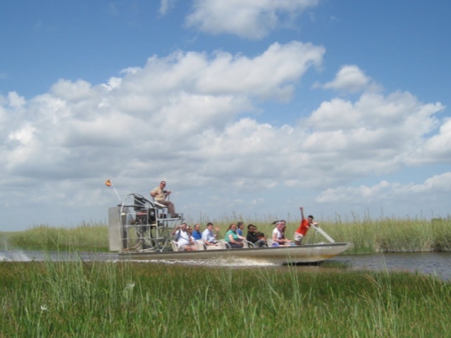 Premium Small Group under 12 | Miami Everglades National Park Half-Day Tour (English)
