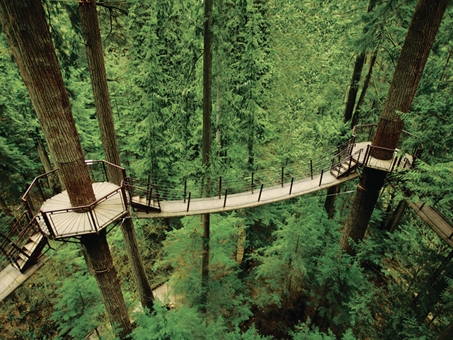 Capilano Suspension Bridge Vancouver BC