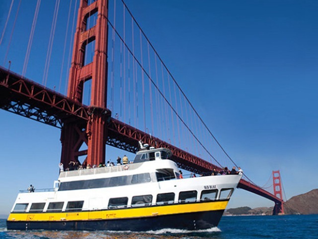Blue&Gold Fleet Ticket: SF Bay 60-minute Cruise Adventure