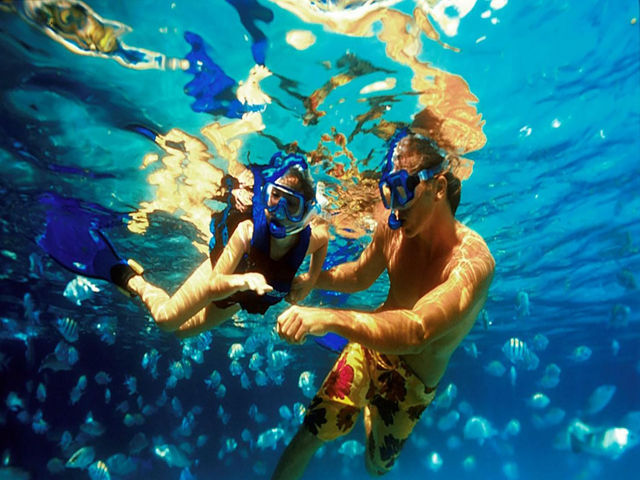 Cancun Tulum Excursions: Xel-Ha water park All-Inclusive Admission + Transportation